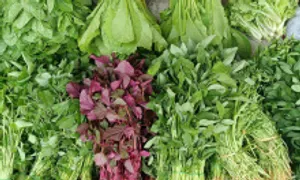 Những thực phẩm thay thế sữa cho người dị ứng lactose